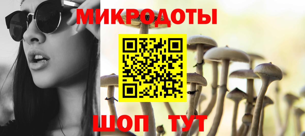 Псилоцибиновые грибы мицелий Сочи
