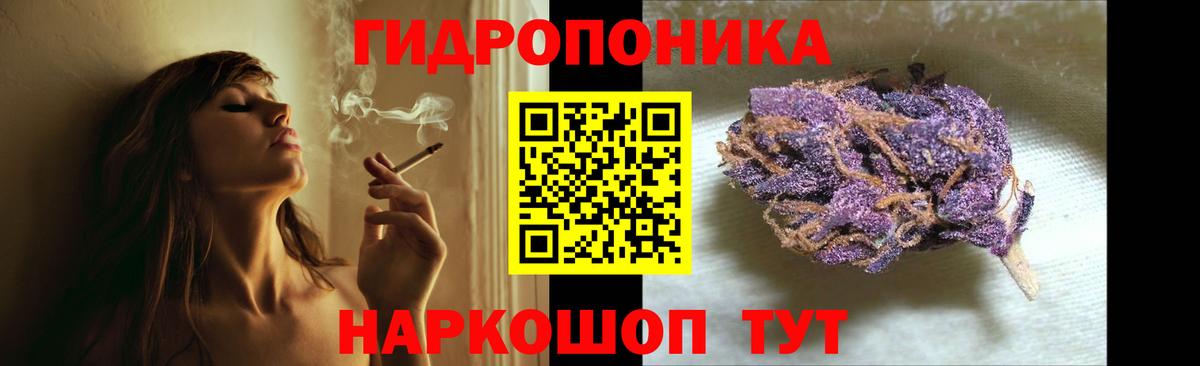 Марихуана планчик  Марихуана Bruce Banner  Каннабис OG Kush  Конопля индика  Вход с VPN  Сочи 